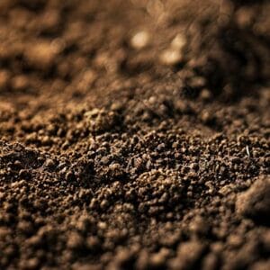 SST Soil Stabilization Technology