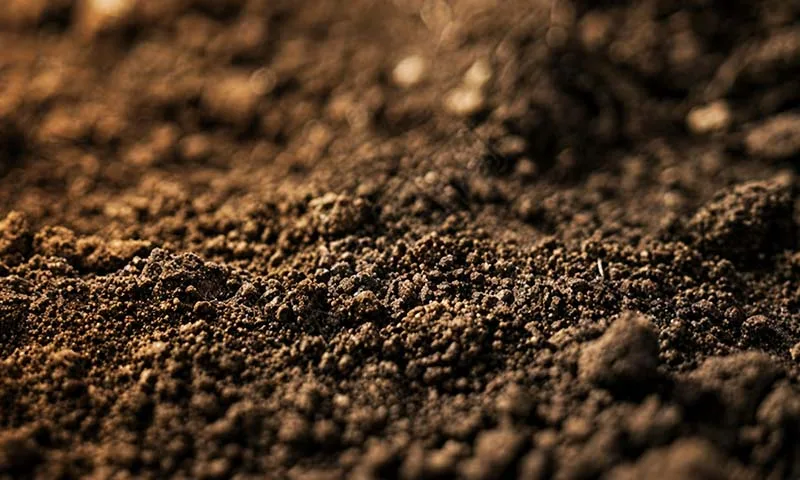 SST Soil Stabilization Agent